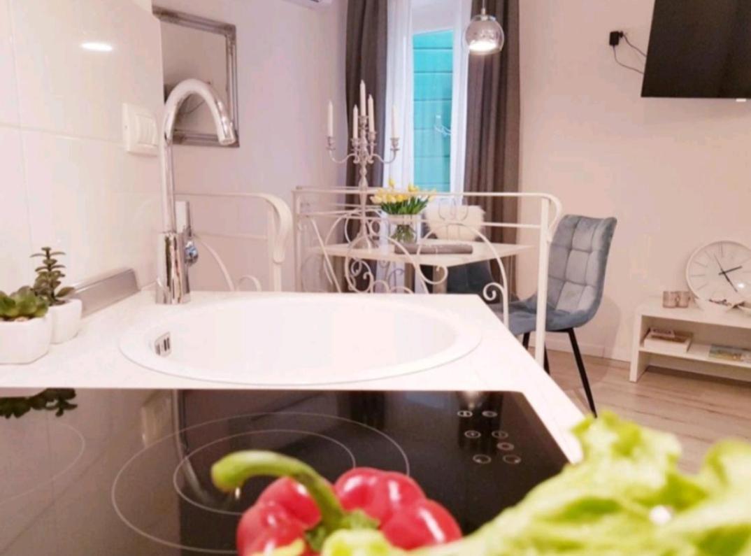 Studio Apartment Lily Ρόβινι Εξωτερικό φωτογραφία